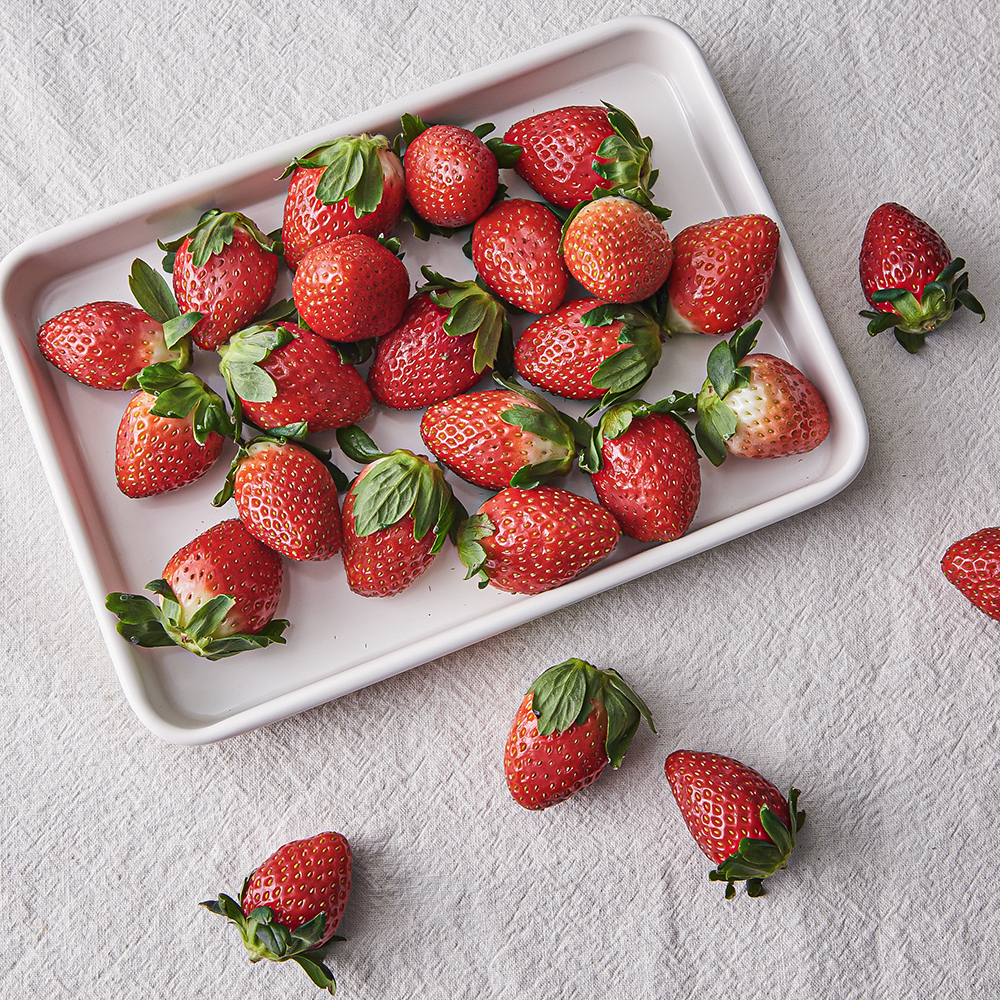 충남오감 논산 GAP 한단 설향 딸기 대과, 500g, 1개